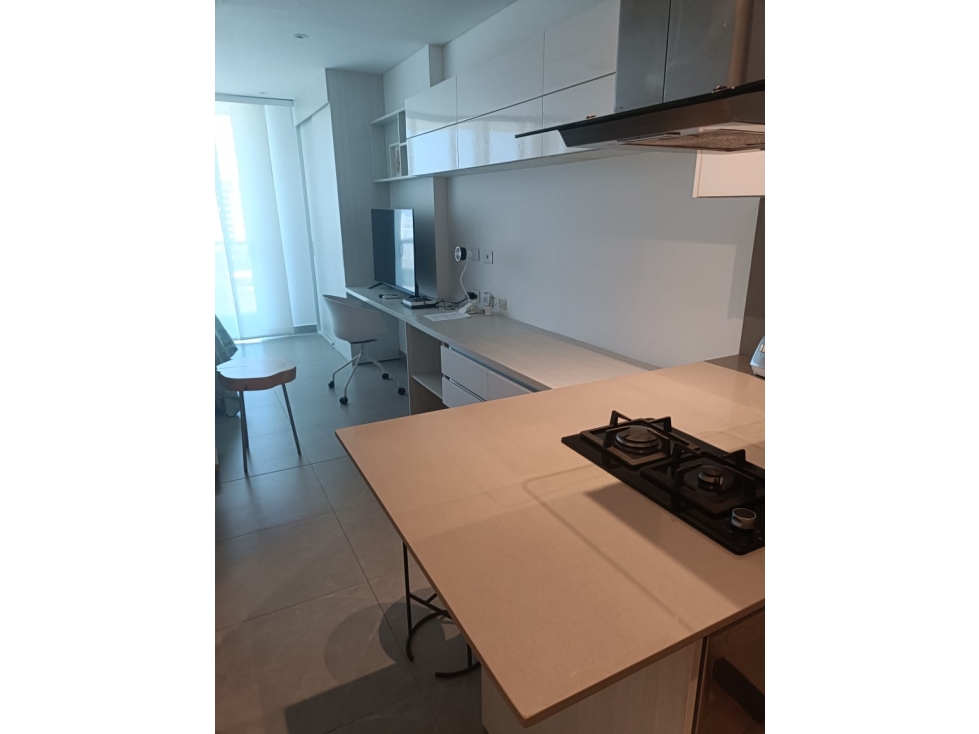 APARTAESTUDIO AMOBLADO EN ALQUIELR EN LA CAMPIÑA — foto 3