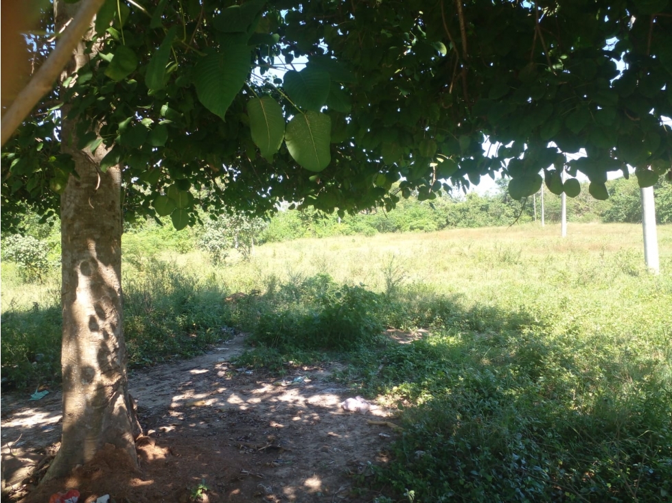 LOTE EN VENTA EN BARANOA - 2