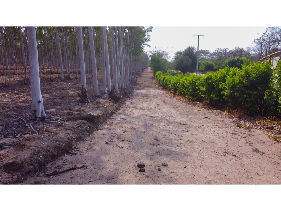 LOTE EN VENTA EN BARANOA - 3