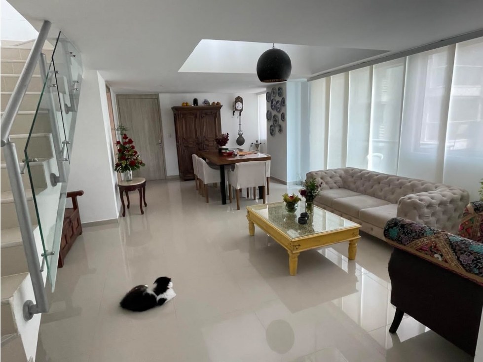 PENTHOUSE DUPLEX EN VENTA EN RECREO — foto 3