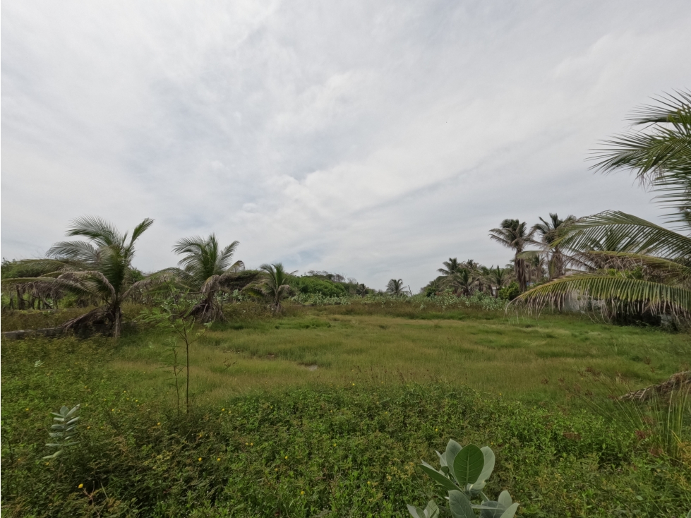 LOTE EN VENTA EN SABANILLA - 3