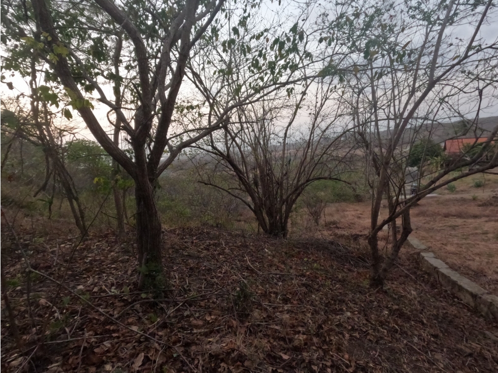 LOTE EN VENTA EN TUBARÀ - 2