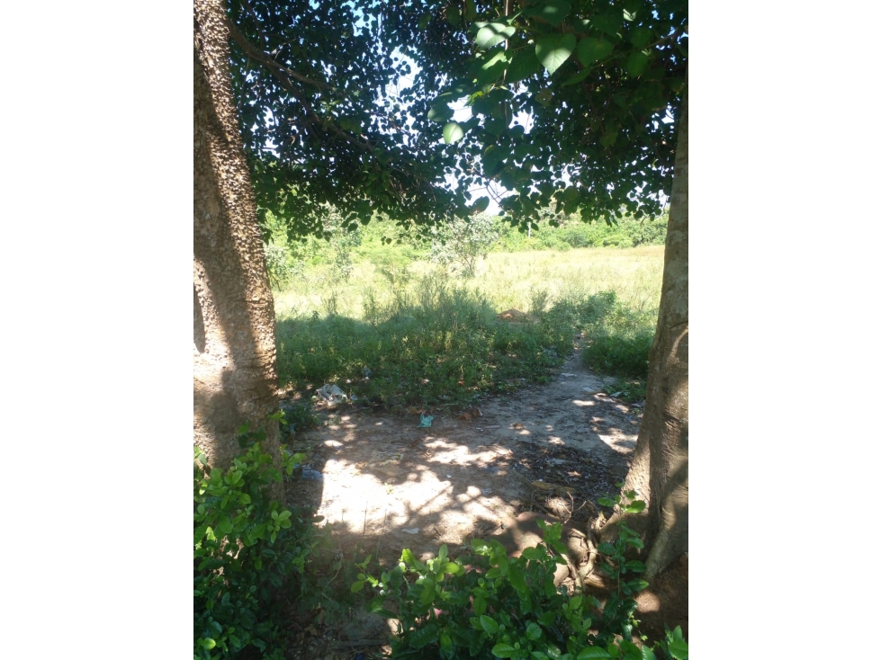 LOTE EN VENTA EN BARANOA - 5