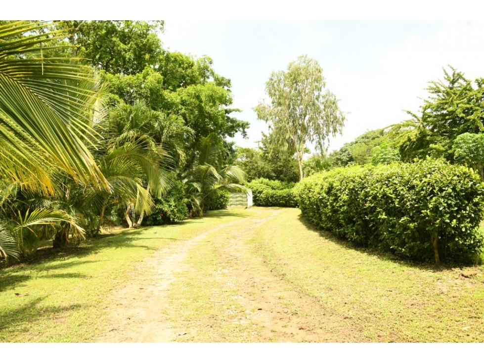 LOTE EN VENTA EN BARANOA - 2