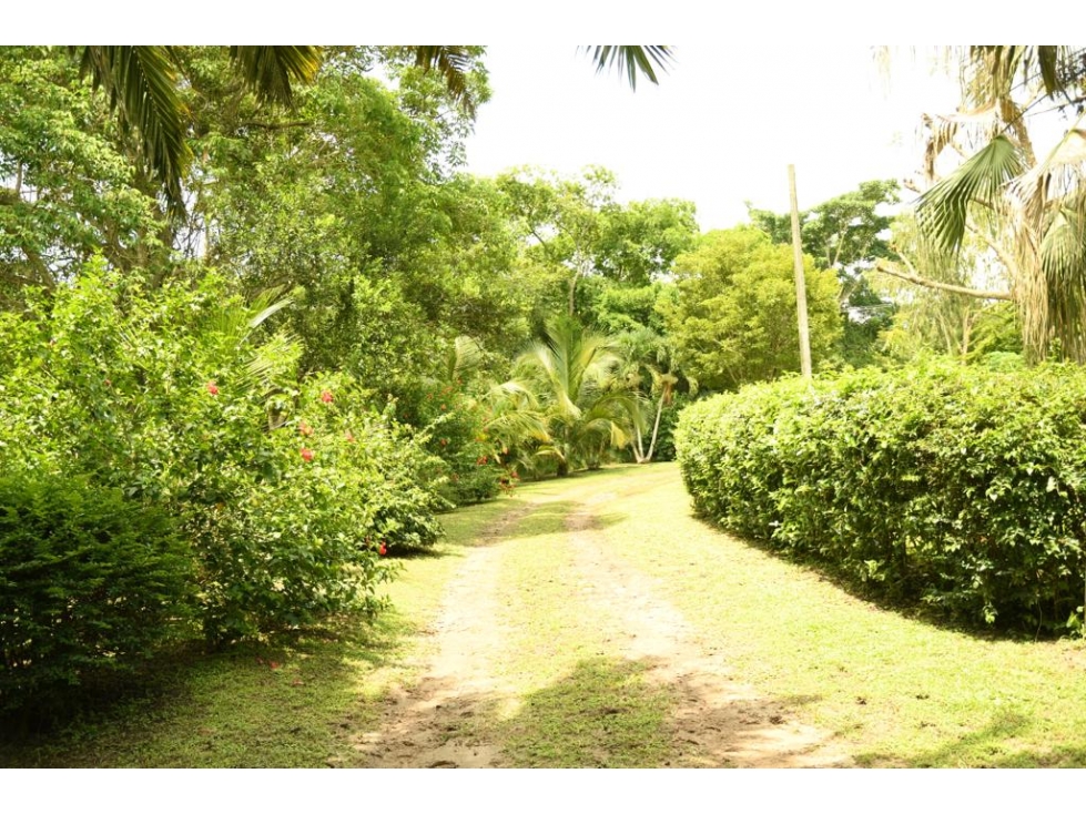 LOTE EN VENTA EN BARANOA - 3