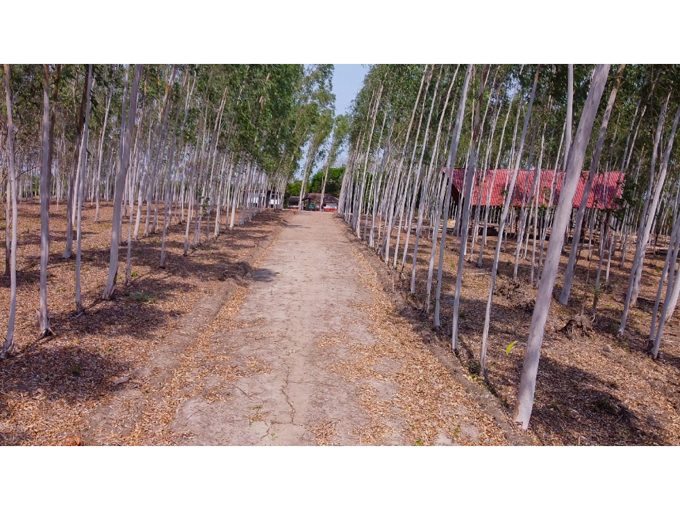 LOTE EN VENTA EN BARANOA - 1