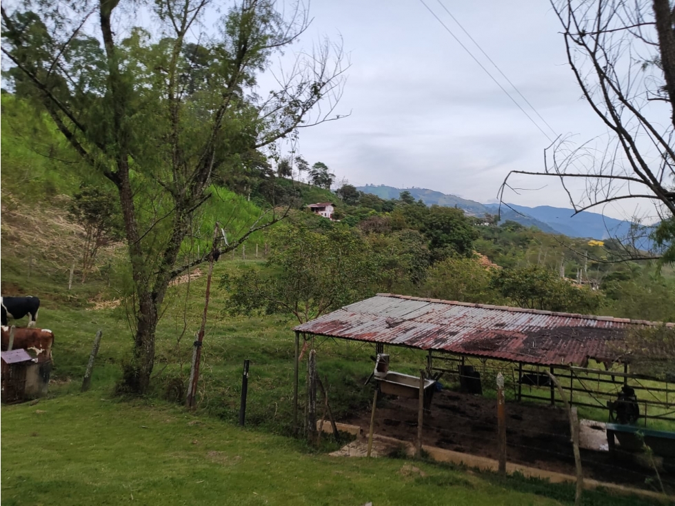 Lote en Venta en Amagá sector Camilo C - 1