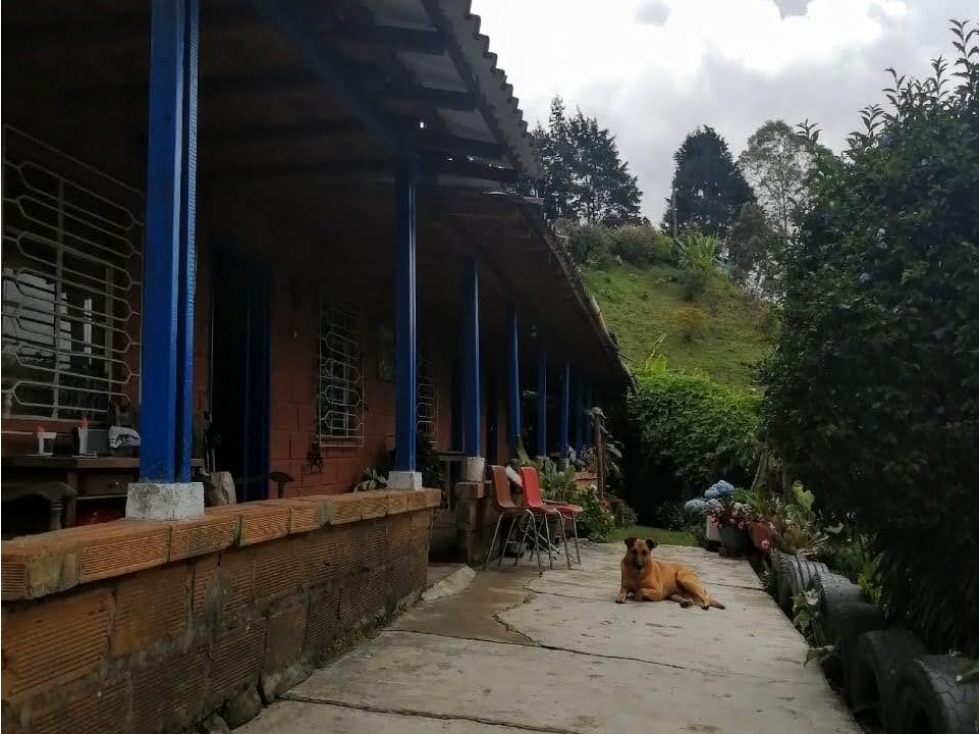 Finca en Venta en Guarne sector Alto de la Virgen — foto 3