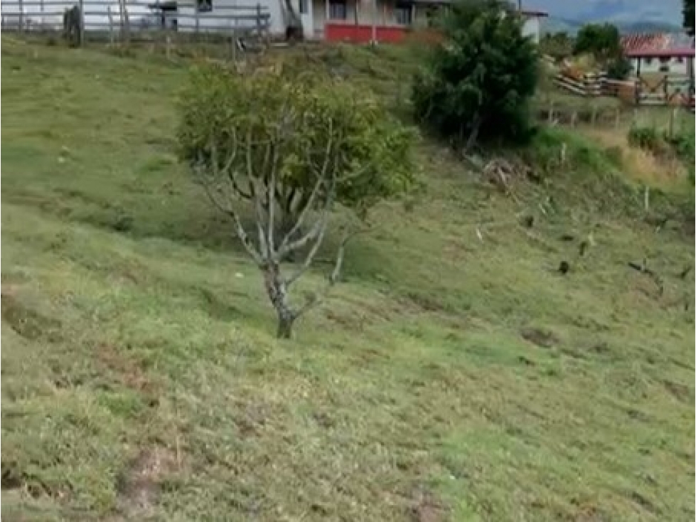 Lote en Venta en Montebello, sector Via a la Pintada Lote 10 - 3