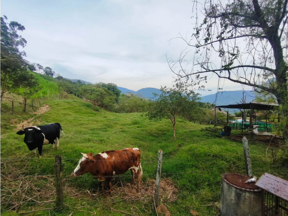 Lote en Venta en Amagá sector Camilo C - 2