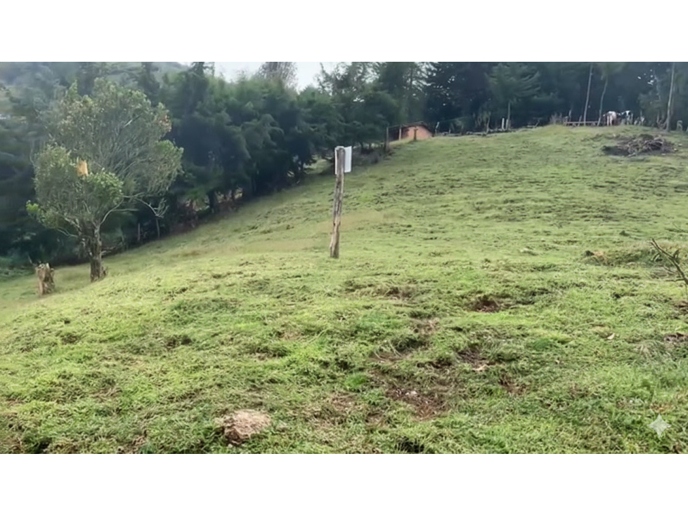 Lote en Venta en Montebello, sector Via a la Pintada Lote 8 - 2