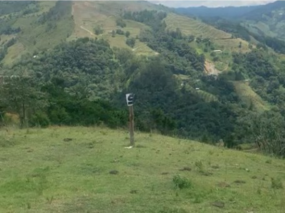 Lote en Venta en Montebello, sector Vía a la Pintada Lote 9 - 2