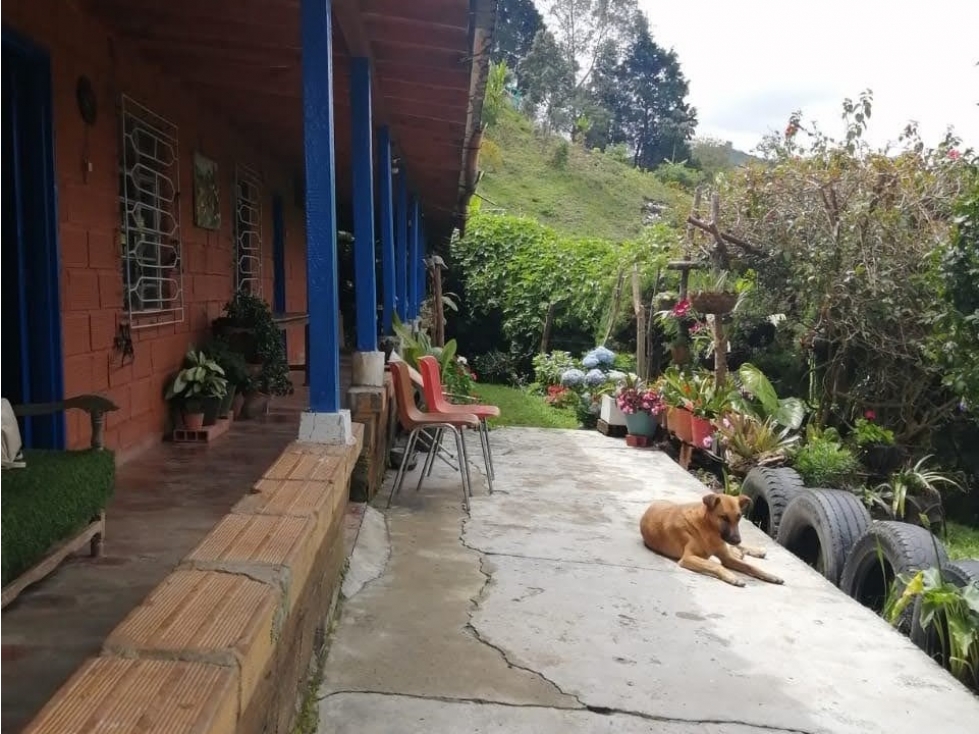 Finca en Venta en Guarne sector Alto de la Virgen — foto 5