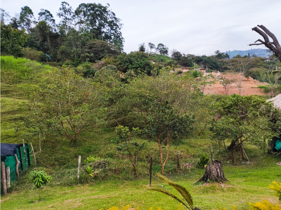 Lote en Venta en Amagá sector Camilo C - 3