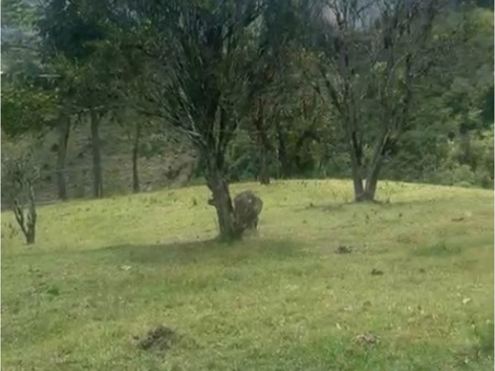 Lote en Venta en Montebello, sector Vía a la Pintada Lote 9 - 3