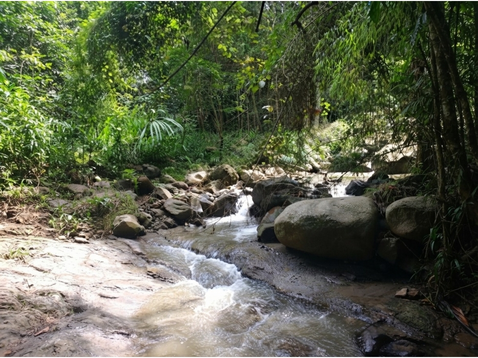 Lote en venta en Fredonia, vereda El Cinco - 4