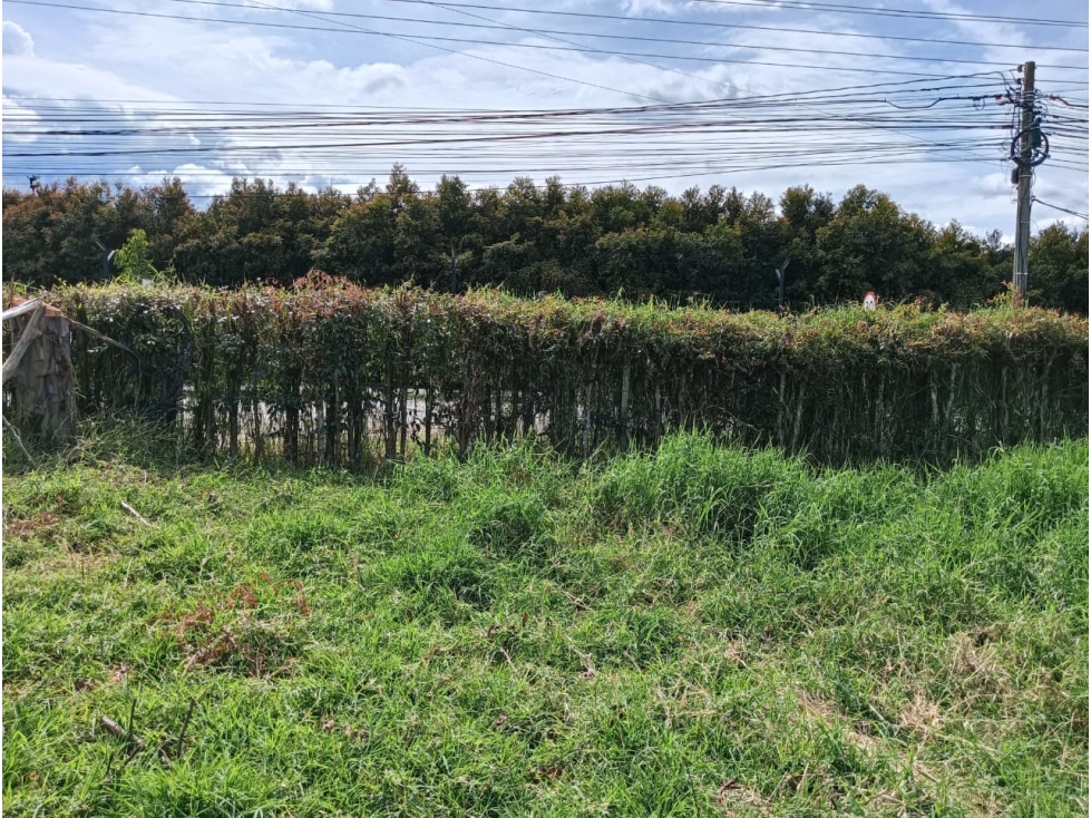Lote en venta en La Ceja, sector Vereda El Tambo — foto 5
