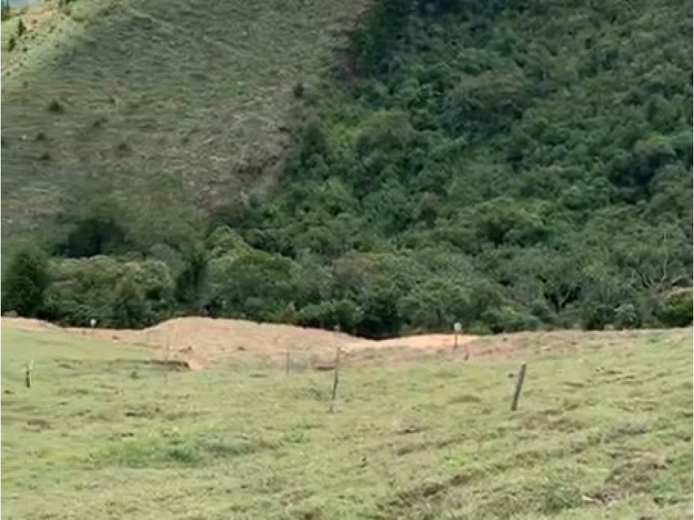 Lote en Venta en Montebello, sector Via a la Pintada Lote 10 - 6