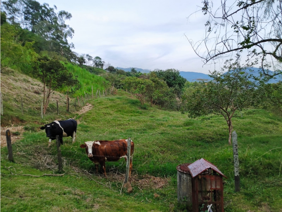 Lote en Venta en Amagá sector Camilo C - 5