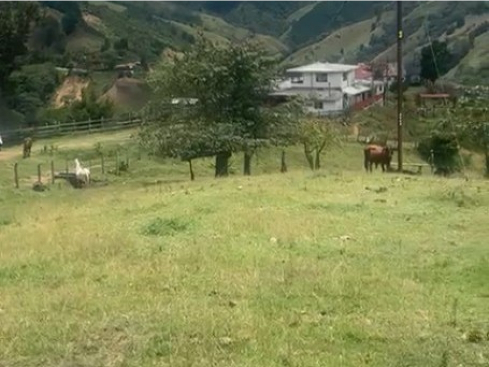 Lote en Venta en Montebello, sector Vía a la Pintada Lote 9 - 5