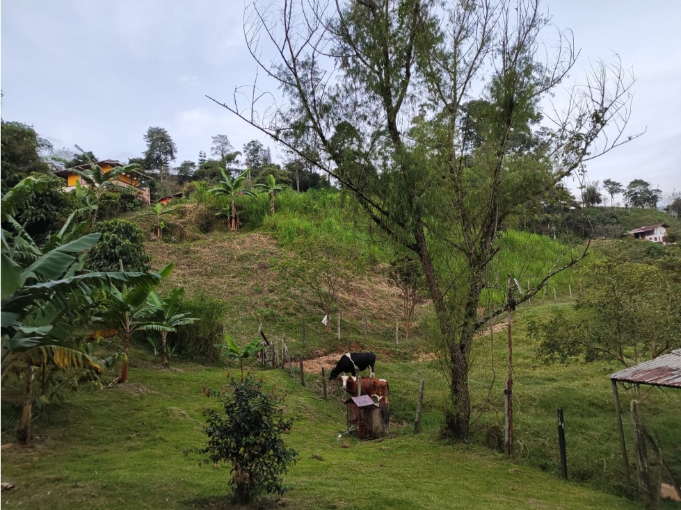 Lote en Venta en Amagá sector Camilo C - 6
