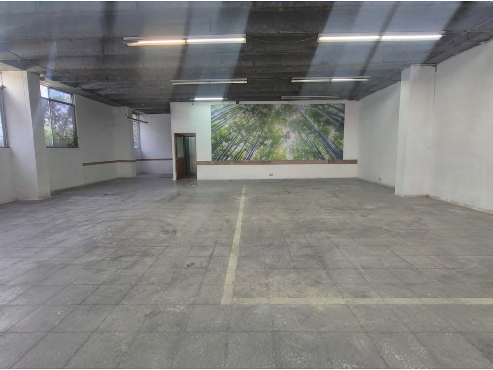 Bodega en Renta en Envigado, sector Primavera - 5