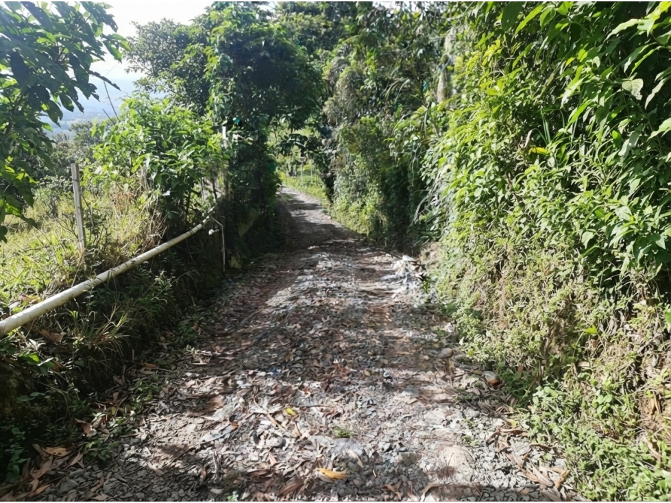 Lote en venta en Fredonia, vereda El Cinco - 3