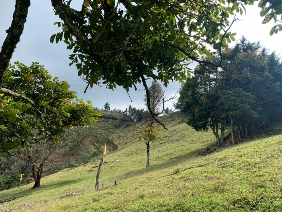 Lote en Venta en Montebello, sector Via a la Pintada Lote 10 - 2