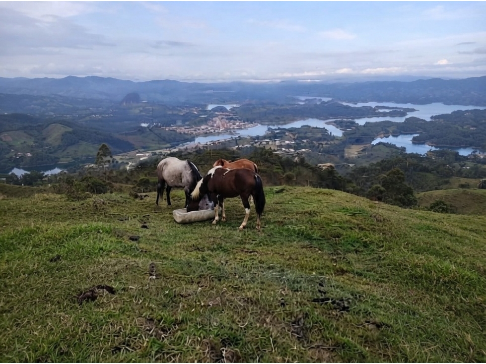 Lote en venta en Guatapé, Vereda El Roble — foto 2