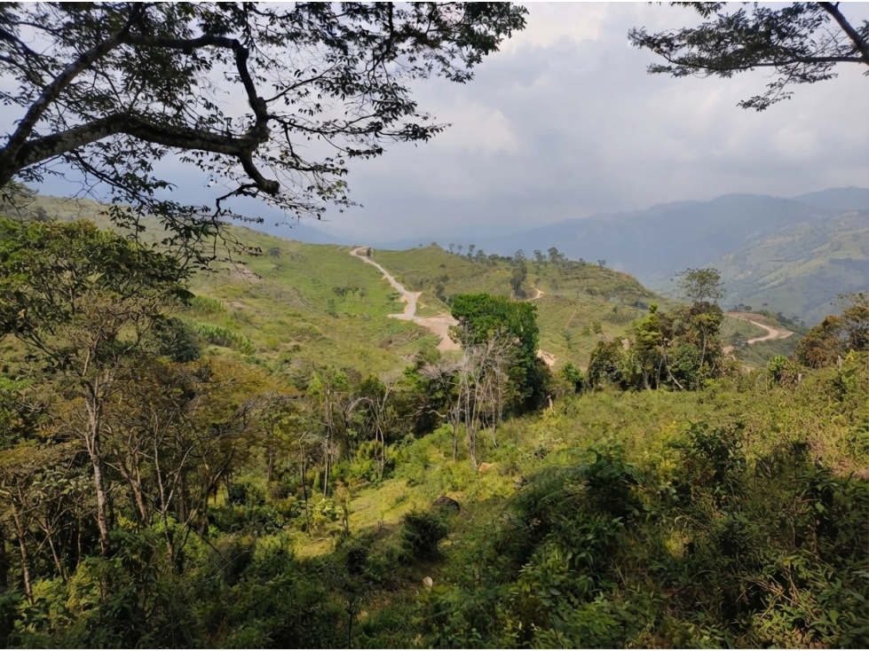 Lote en venta en Fredonia, vereda El Cinco - 1