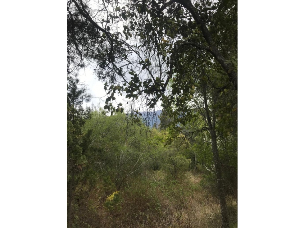 EN VENTA LOTE DE 2500 M2 CON CASA EN EL BOLSÓN CA-215 - 4