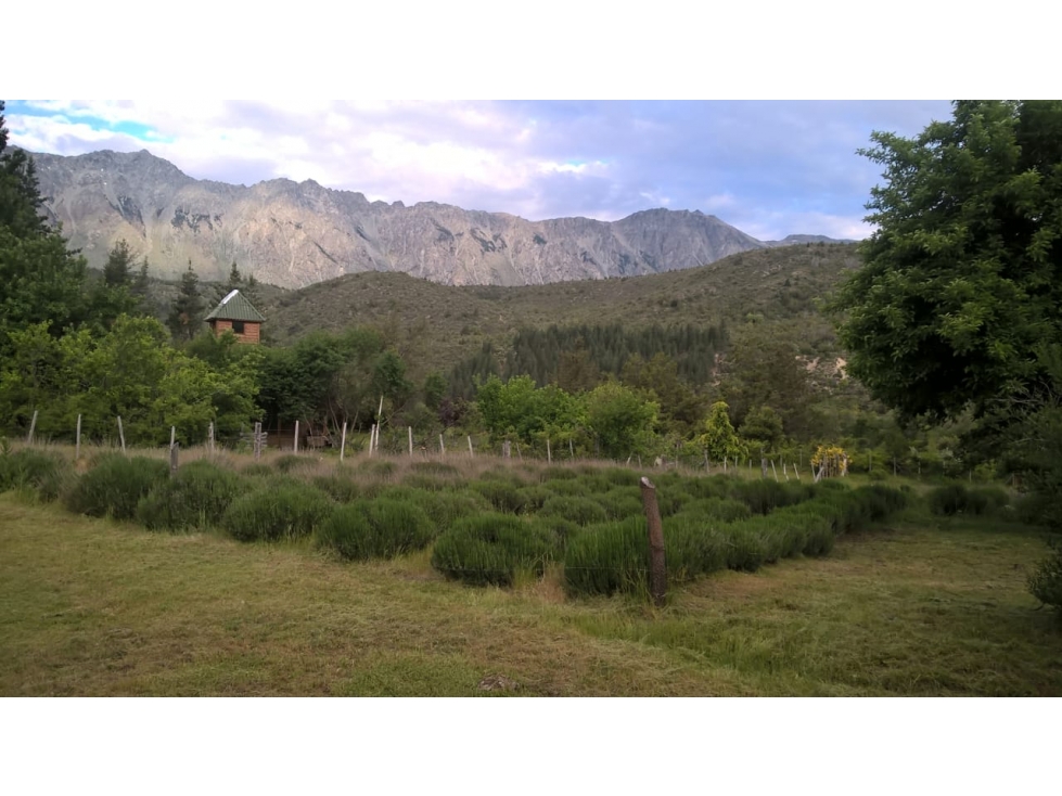 EN VENTA CHACRA DE 7.000 M2 CON CASA EN PARAJE LOS REPOLLOS CA-262 — foto 6