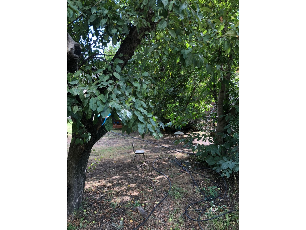 EN VENTA LOTE DE 300 M2 EN EL BOLSÓN - 2
