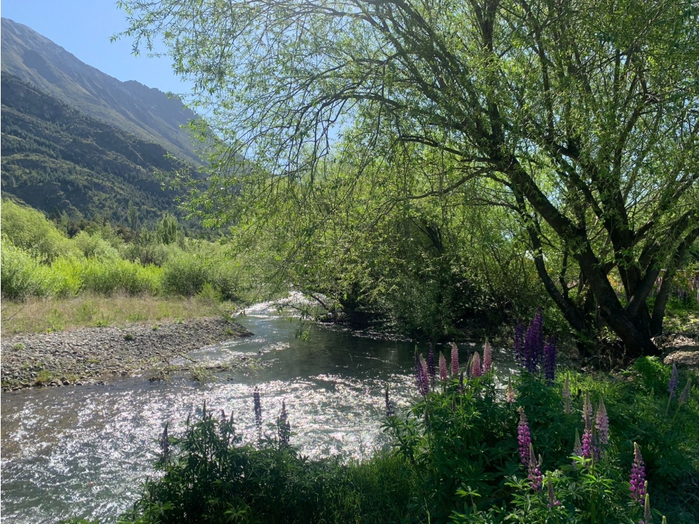 EN VENTA AMPLIO LOTE EN EL HOYO. A MTS DEL RÍO EPUYEN Y DE LA R 40 - 2
