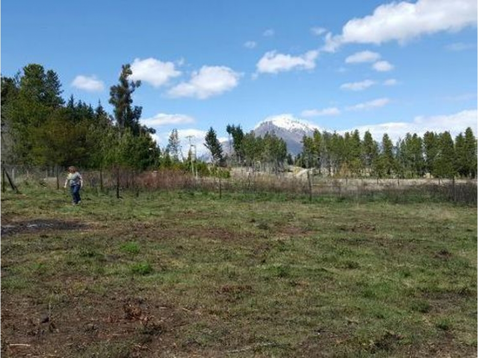 EN VENTA AMPLIO LOTE EN CERRO RADAL, LAGO PUELO LO-232 - 5