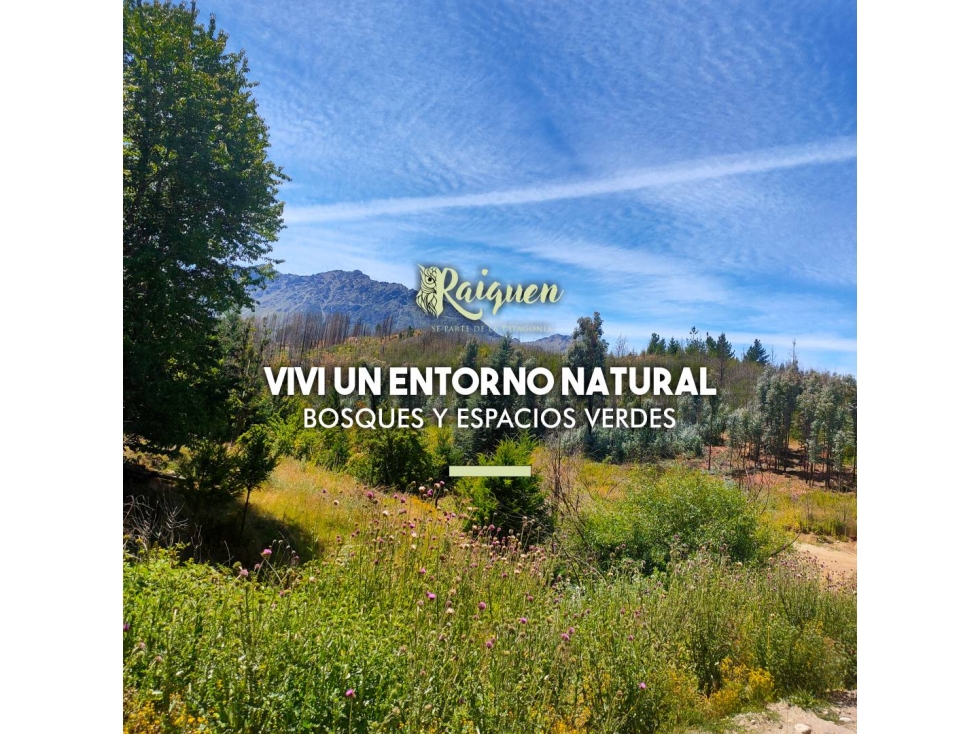 EN VENTA PARCELAS DE APROX. 9.000 M2 EN LAGO PUELO LO-244 - 2