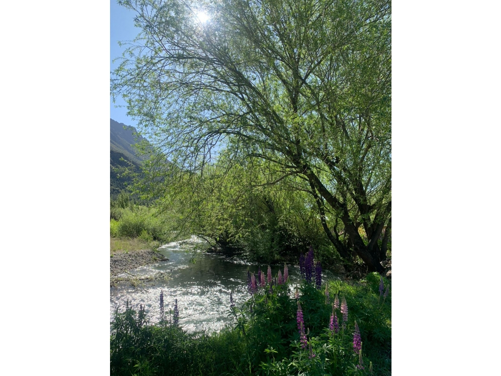 EN VENTA AMPLIO LOTE EN EL HOYO. A MTS DEL RÍO EPUYEN Y DE LA R 40 - 3
