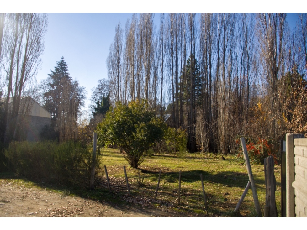 EN VENTA LOTES DE 500 M2 EN PARAJE ENTRE RÍOS LO-295 - 2