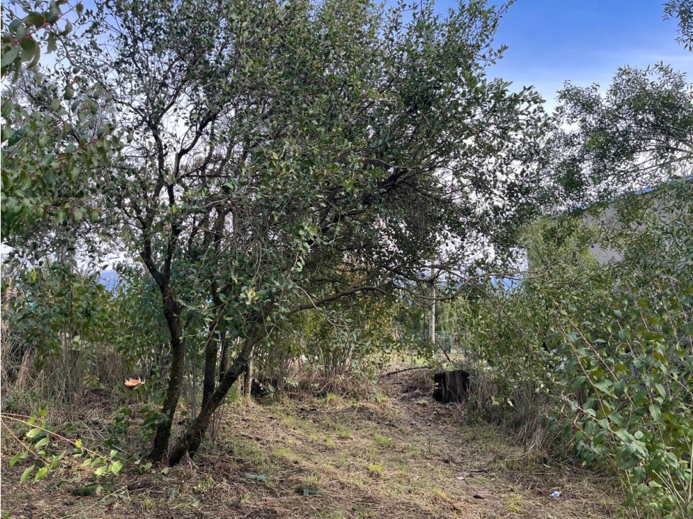 EN VENTA LOTE DE 500 M2 EN BARRIO BUENA VISTA, EL BOLSÓN - 3