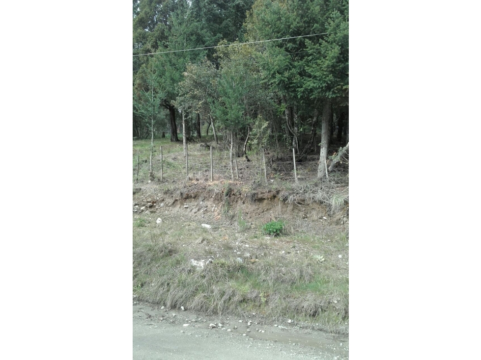 EN VENTA LOTE DE 1500 M2 EN LAGO PUELO LO-219 - 4