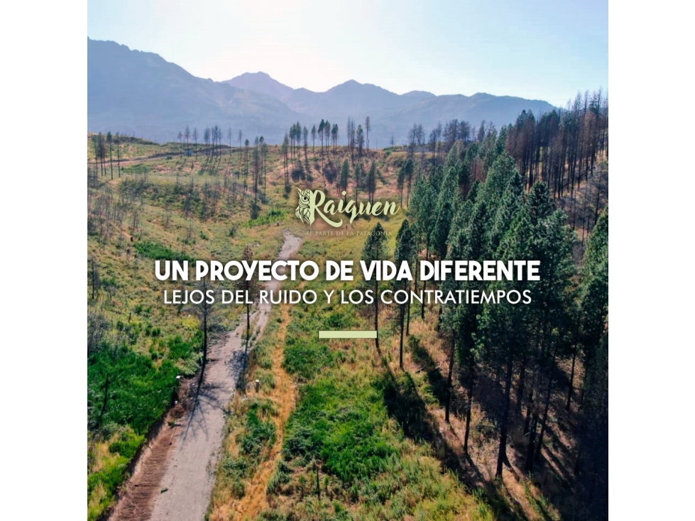 EN VENTA PARCELAS DE APROX. 9.000 M2 EN LAGO PUELO LO-244 - 3