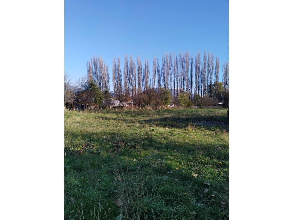 EN VENTA AMPLIO LOTE SOBRE RUTA 40 EL HOYO LO 269 - 3