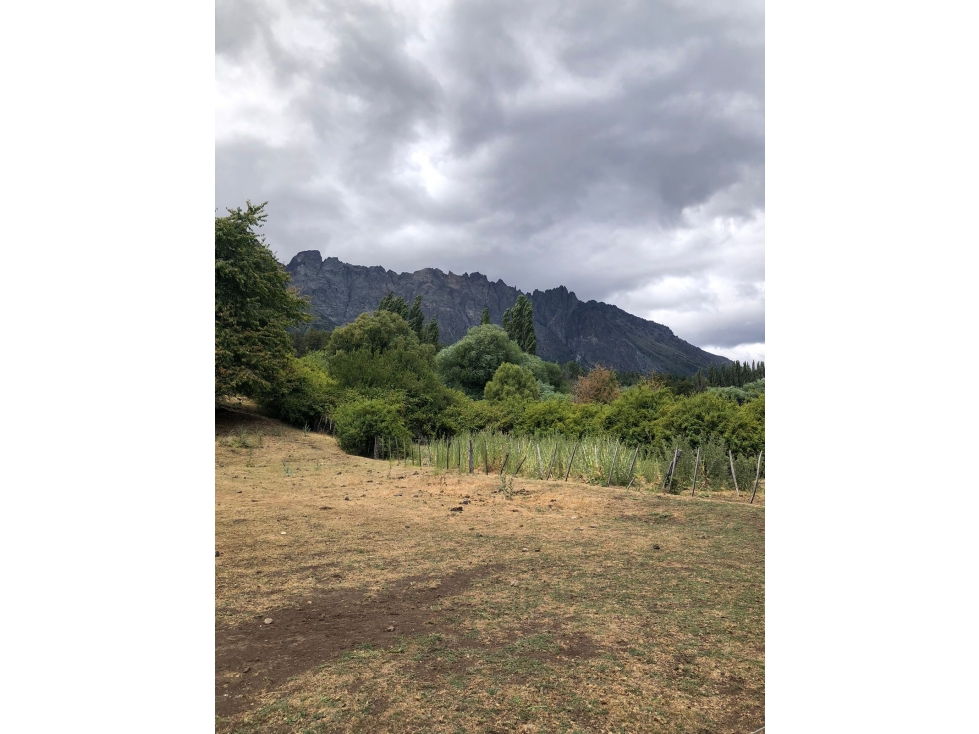 EN VENTA LOTE DE 5000 M2 EN CERRO AMIGO, EL BOLSÓN - 4
