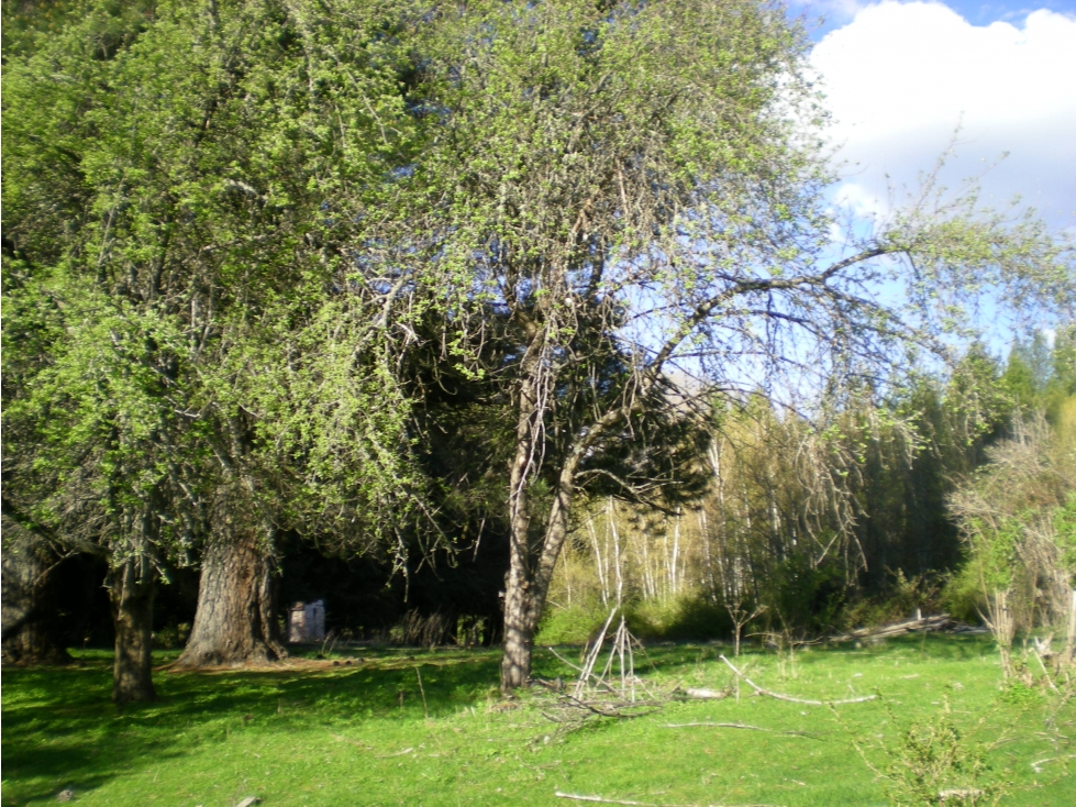 EN VENTA CHACRA EN MALLÍN AHOGADO, EL BOLSÓN - 3