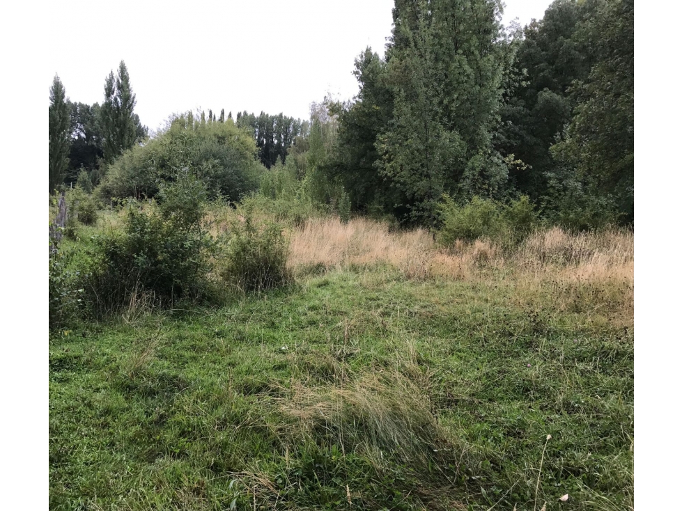 EN VENTA LOTE DE 600 M2 EN CERRO AMIGO, EL BOLSÓN LO-290 - 2