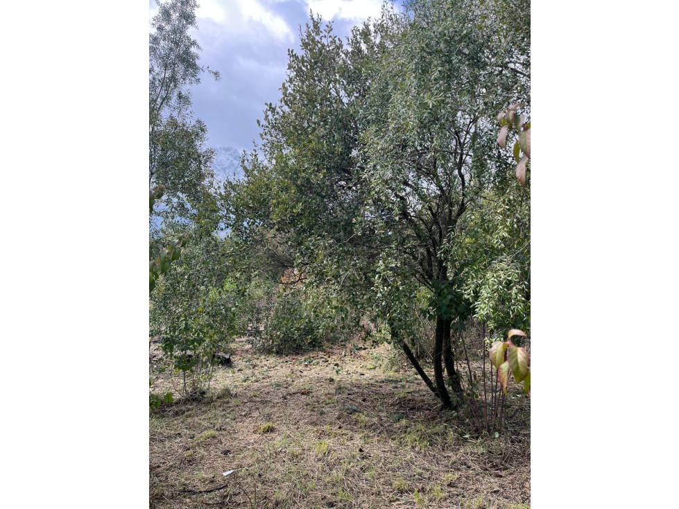 EN VENTA LOTE DE 500 M2 EN BARRIO BUENA VISTA, EL BOLSÓN - 4