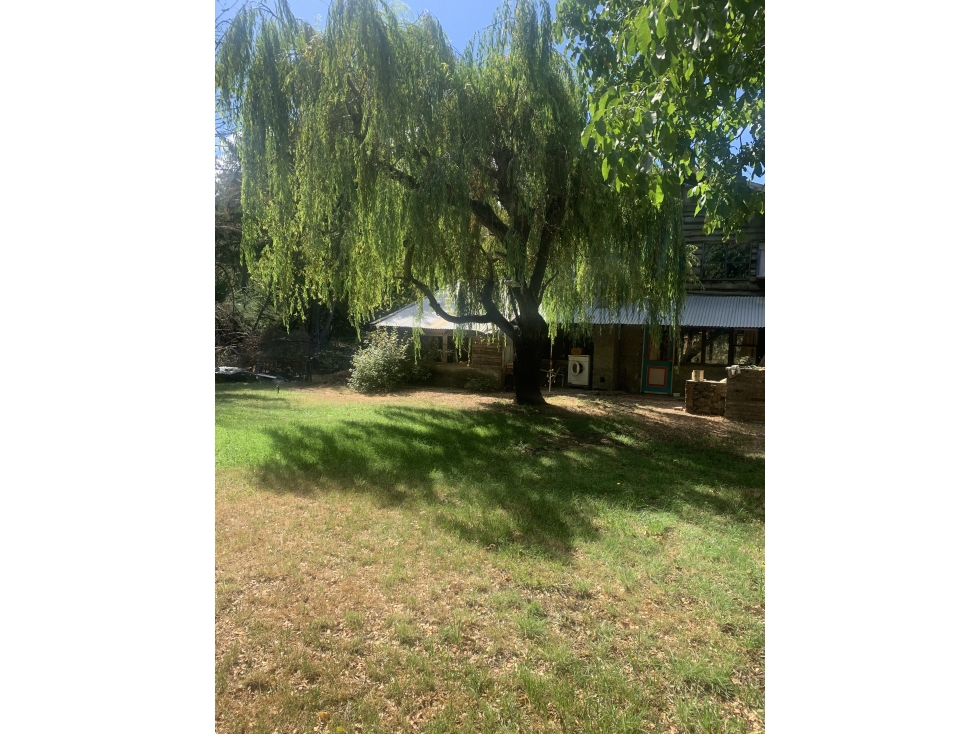 EN VENTA CASA EN LOTE DE 1000 M2 EN VILLA DEL LAGO, LAGO PUELO CA 324 - 2