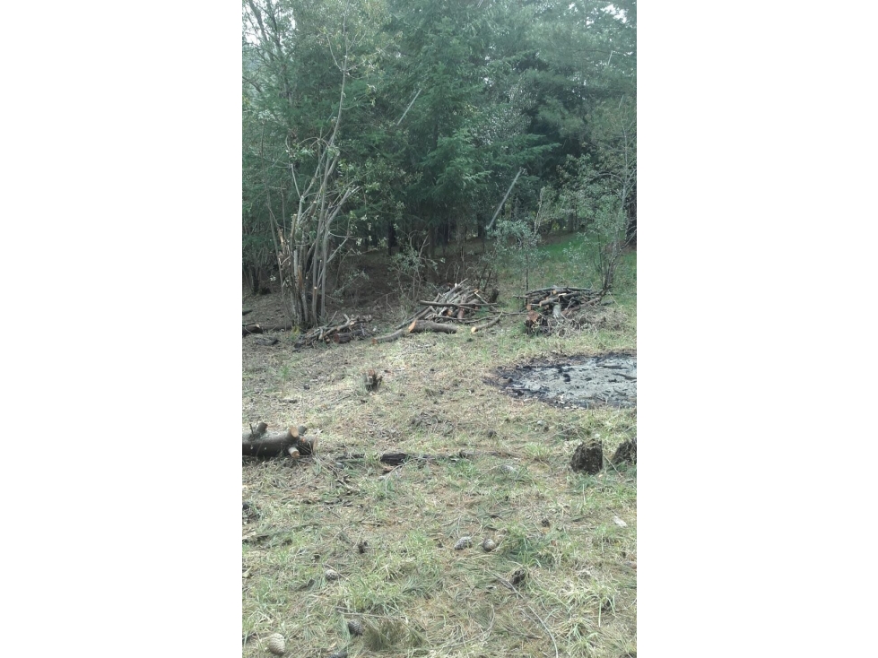 EN VENTA LOTE DE 1500 M2 EN LAGO PUELO LO-219 - 5