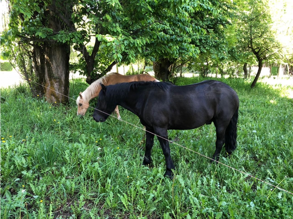 EN VENTA LOTES EN EL BOLSÓN LOTEO "DEL CERRO" LO-190 - 4