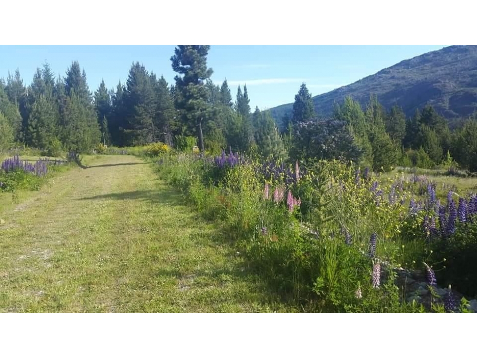 EN VENTA AMPLIO LOTE EN CERRO RADAL, LAGO PUELO LO-232 - 3